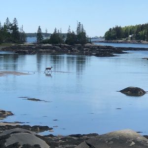 Meet your Posher, Abigail